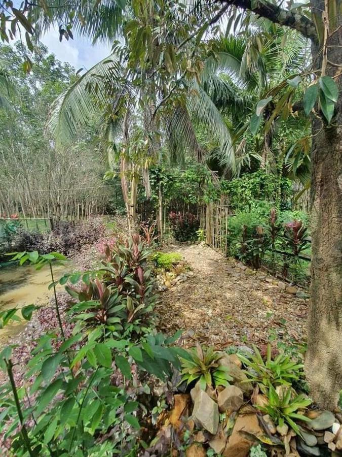 Nakhon Si Ban Na Homestay Nakhon Si Thammarat Εξωτερικό φωτογραφία